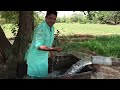 @VillageFoodSecrets Chak No 197 District Bahawalnagar Tehsil Fort Abbas - Part 1 #village