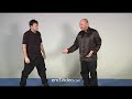 WING CHUN KUEN - Punch the Punch- by Sifu Robert Chu