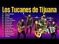 Los Tucanes De Tijuana Exitos 2024 ~ 15 Mejores Corridos ~ Lo Nuevo y Lo Mejor 2024