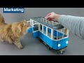 Building a Cat-Sized Lego Train