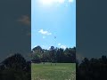 Fun Kite Flying
