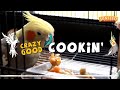 Crazy Good Cookin' Bird Food