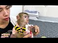 Why did Monkey Kaka fight over the milk bottle with Monkey Mit?