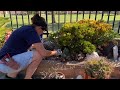 How to Rearrange Your Overgrown Succulents