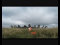 Celts & Romans at Bryn Cader Faner