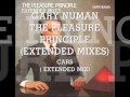 Gary Numan Cars (Extended Mix).