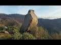 Lola the basset hound finds a Megalithic Bird