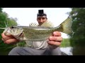 Fly Fishing for Bass with Topwater Poppers | Tons of Action!