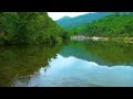The flowing sound of beautiful mountain rivers.Nature birds singing: Relax, Sleep