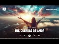 TUS CUERDAS DE AMOR