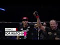 Alex Pereira left hook KO's ranked by BRUTALITY