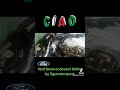 ciao ford focus ecoboost timing by 3gsmotorsport thanks subs like thumb up 👍