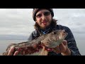 Summer WA Jetty Fishing Rockfish and Lingcod - (SURPRISE CATCH! + Catch and Cook!) SO MANY FISH!