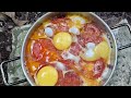 Building a stone shelter and cooking with the help of dogs and cats 💙 bushcraft shelter