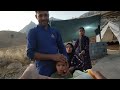 Fulfilling our viewers' wishes and supporting a kind-hearted nomadic family on the Raz Channel