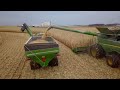 US Farmers Harvest 2.9 Billion Pounds Of Sweet Corn This Way - Farming