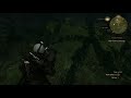 The Witcher 3 Leshen Hunt Gameplay
