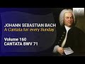 J.S. Bach: Gott ist mein König, BWV 71 - The Church Cantatas, Vol. 160