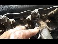 How to fix diesel engine 6 cylinder starting fault solution @trucksrepairing ISUZU JCR 6BG1 MT11