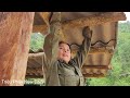 Single mother builds wooden house for pigs - pig pen, farm life l Trieu Phay New Daily