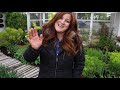 Planting Baptisia & a Tour of the Cottage Garden! 😍🌿// Garden Answer