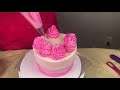 Easy Pink Ombre Cake Tutorial for Beginners,  Frosting Finisher Rolly Tool (Evil Cake Genius) Review