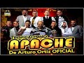 Lo Mejor de Tropicalisimo Apache Mix 2024 - Cumbias Para Bailar Mix 2024