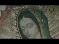 Especial Virgen de Guadalupe: Códice de Nuestra Señora de Guadalupe