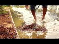 Torrential Triumph Conquering a Whirlpool in a Flooded Street Amidst Heavy Rain and Rising Waters!