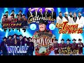 Los Tigres del Norte, Lalo Mora, Cardenales De Nuevo Leon, Los Invasores De Nuevo Leon, Ramon Ayala