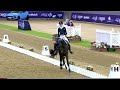 Dressage Disaster: Dinja Van Liere Has Her Hands Full With Hermes In The Grand Prix Freestyle