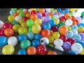 SURPRISING MY DOG WITH 200 BALLOONS (HE FREAKS OUT)