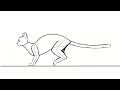 Cat run animation