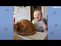 Baby Girl And Her Kitten Brother Are Completely Inseparable | The Dodo Soulmates