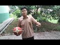 Novan Kristian Daeli (how to behind the leg skill in basketball) english 11 science 6