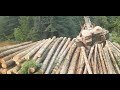 logging log max 7000xt