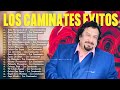 Los Caminantes 2024 Mix Exitos ~ Álbum Completo Románticas ~ Los Caminantes 15 Grandes Éxitos 2024