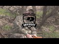 Best Time to Use a Box Call When Turkey Hunting - Matt Van Cise