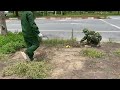 Nobody Cares about the Overgrown Sidewalk, 2 Men Volunteered to Clean It Up in the 40-Degree Heat