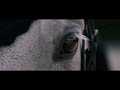 Counting Stars § Equestrian Music Video