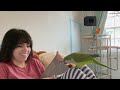 Realistic Day With My 3 Parrots | VLOG