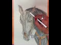 How to draw a horse using pencil colors and charcoal pencil #art #drawing #sketch #timelapse