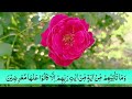 Surah Yasin ( Yaseen ) with Urdu Tarjuma | Quran tilawat | Ep 101| Quran with Urdu Hindi Translation