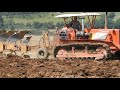 aratura con fiatallis 14, ai piedi del castello di torrechiara (17-8-19)