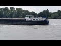 Reger Schiffsverkehr auf dem Rhein bei Rees flussaufwärts