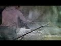 Torrando farinha de mandioca #casa #farinhademandioca #youtubevideo