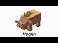 the various types of piglins in minecraft