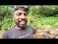 කරගහතැන්න පාලූ ගමේ දෙළගාව රසට උයන් කෑවා Vlog 03  @travelwithlahiru @lakshithavlogs