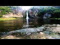 4K Huanua Waterfals NZ-Spectacular- waterfall with Birds and Ducks & beautiful Forest. nature sound
