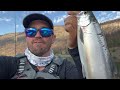 All Female Triploid Kokanee - But Why? (Monte Lake)